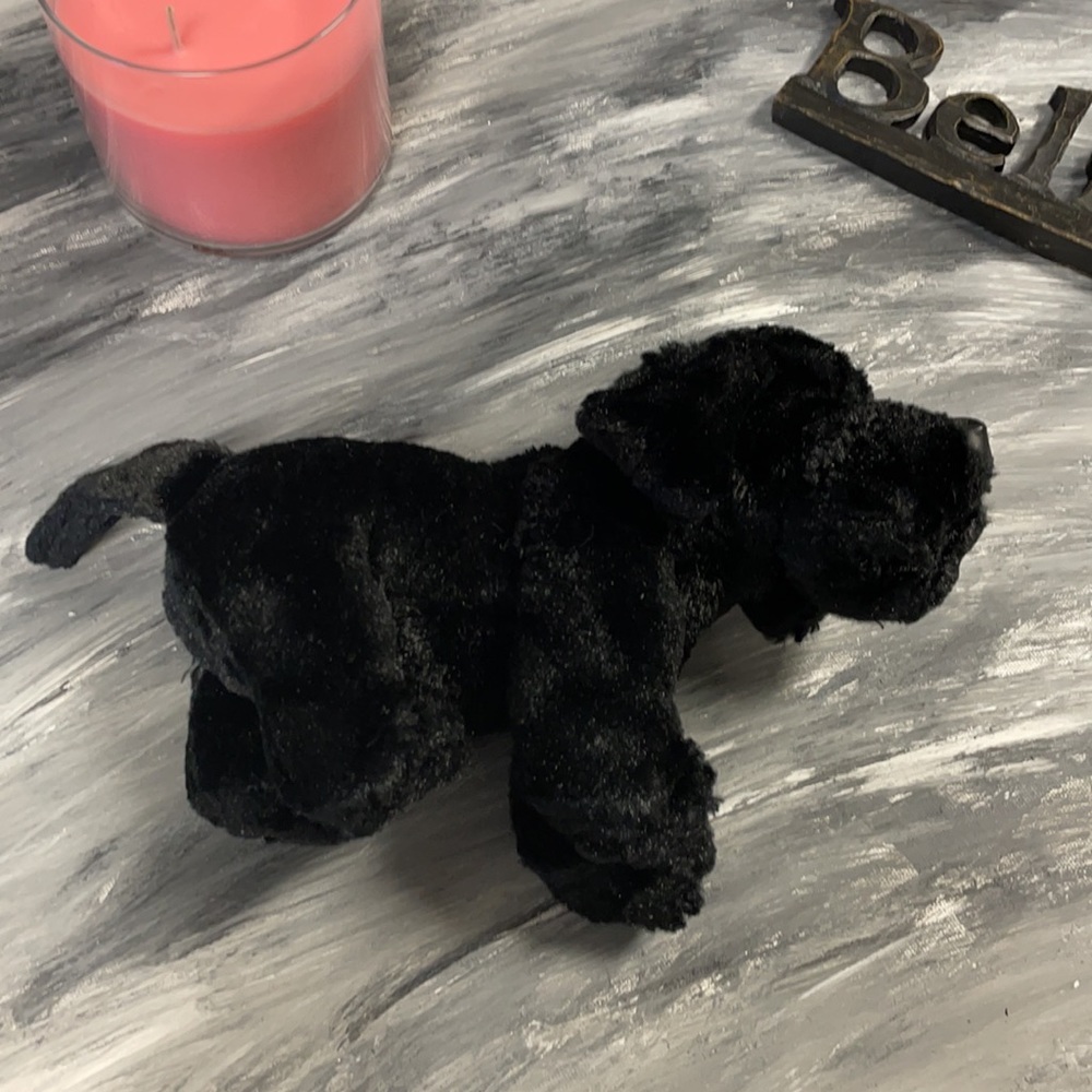 Webkinz Black Lab - Picture 3 of 6